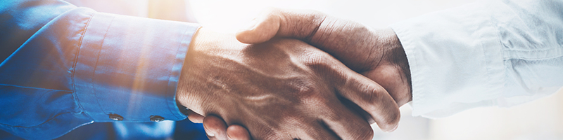 Strategic Partners