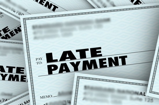 Reasons for Late Payment