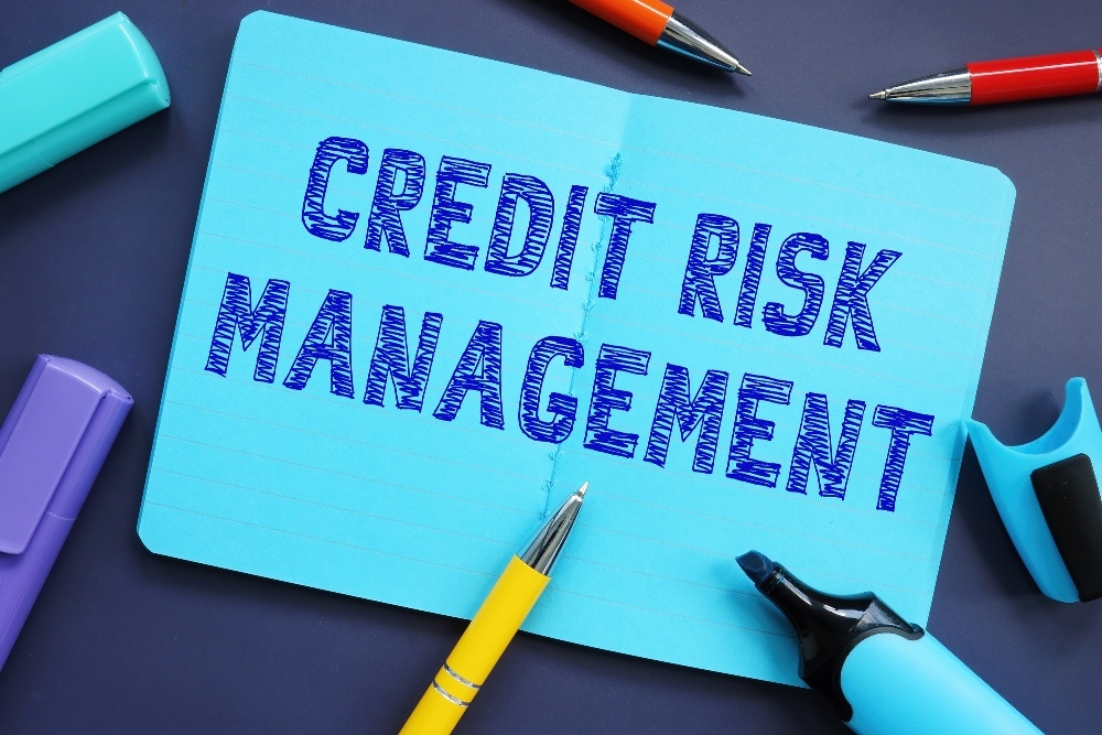 What is Credit Risk management